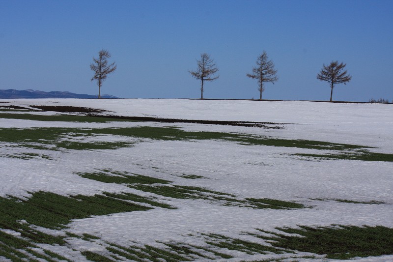 ファイル 419-1.jpg