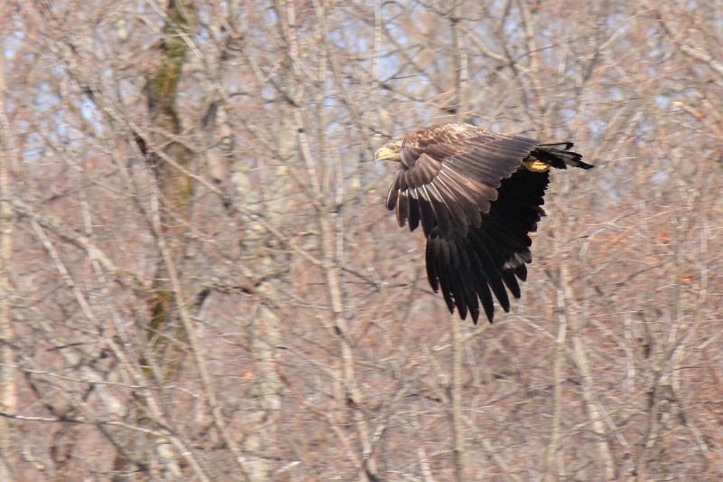 ファイル 419-3.jpg