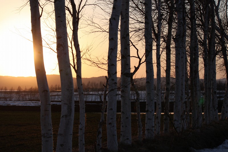 ファイル 419-5.jpg