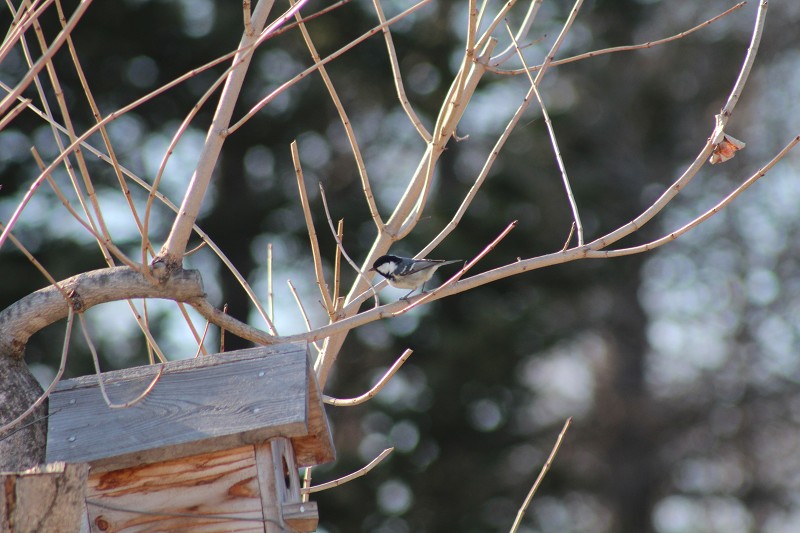 ファイル 421-1.jpg