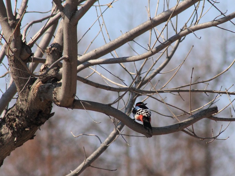 ファイル 422-3.jpg