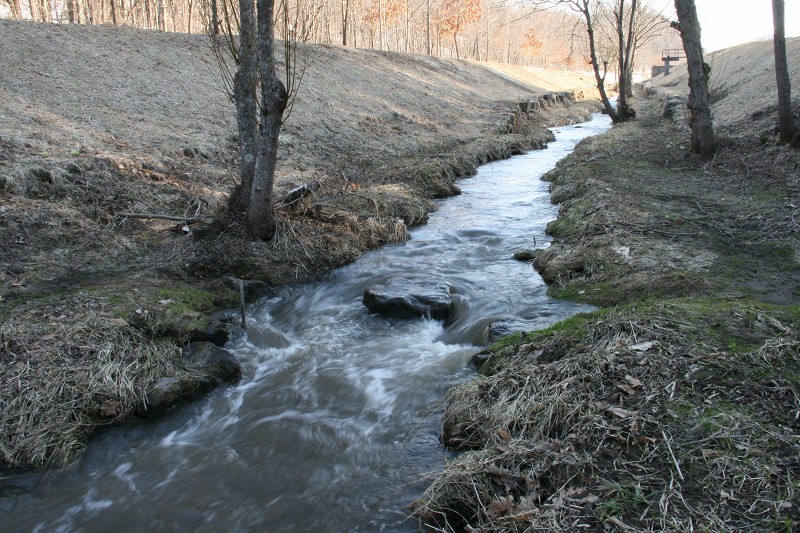 ファイル 424-2.jpg