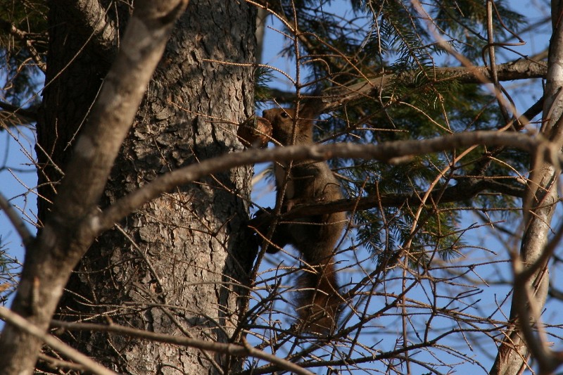 ファイル 424-4.jpg