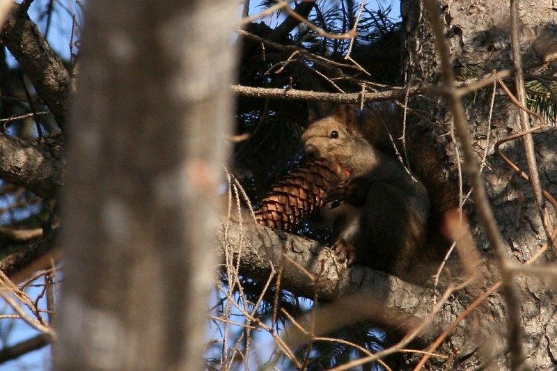 ファイル 424-5.jpg