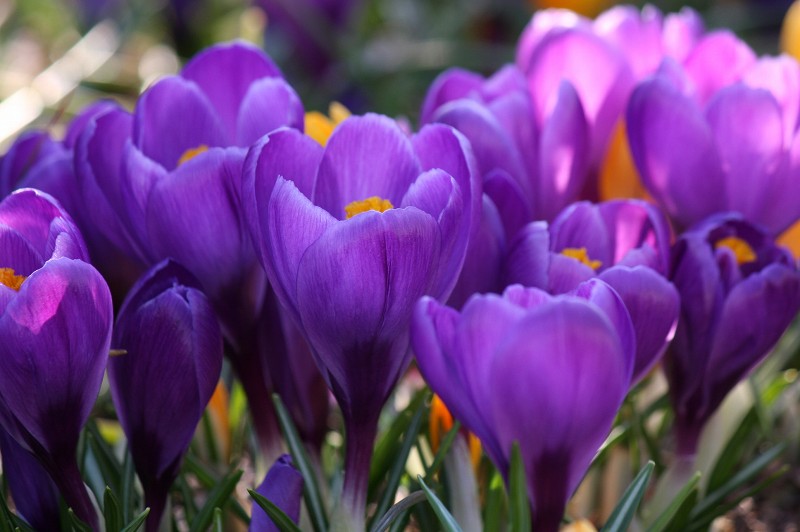 ファイル 427-1.jpg