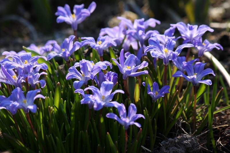 ファイル 427-2.jpg