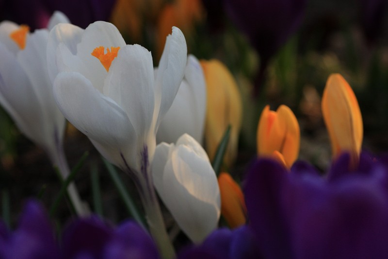 ファイル 427-4.jpg