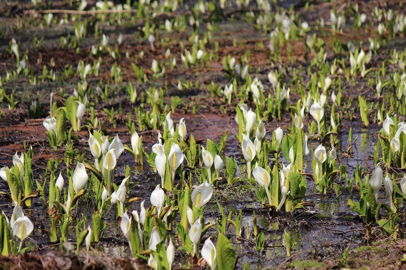 ファイル 428-3.jpg