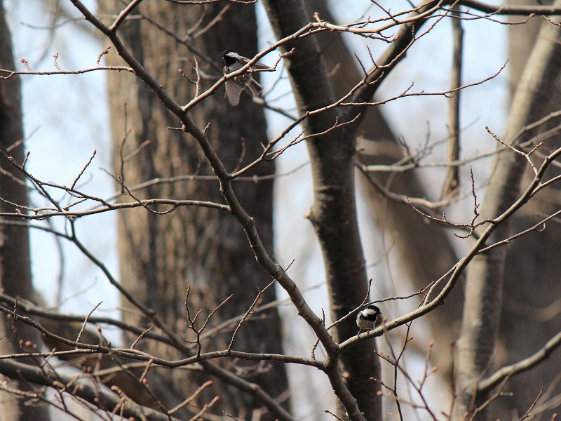 ファイル 428-4.jpg