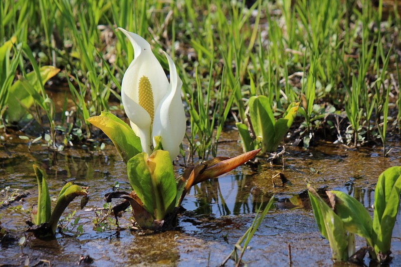 ファイル 429-2.jpg