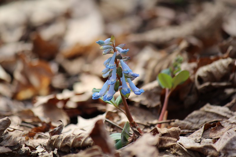 ファイル 429-5.jpg