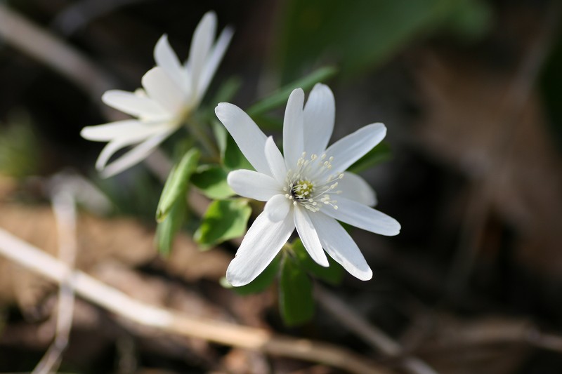 ファイル 430-2.jpg