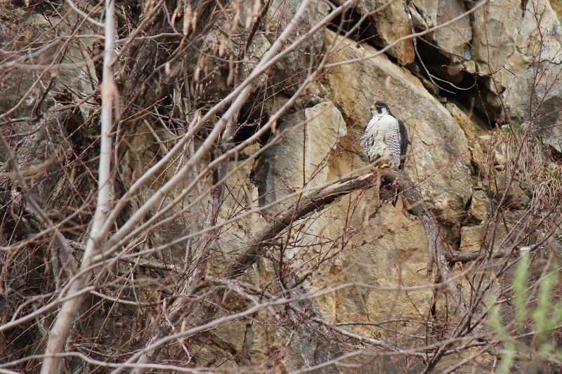 ファイル 431-4.jpg