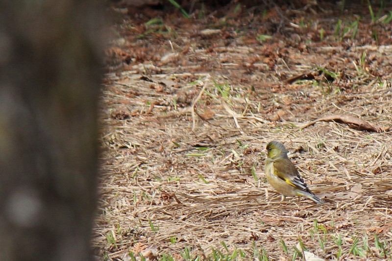 ファイル 432-2.jpg