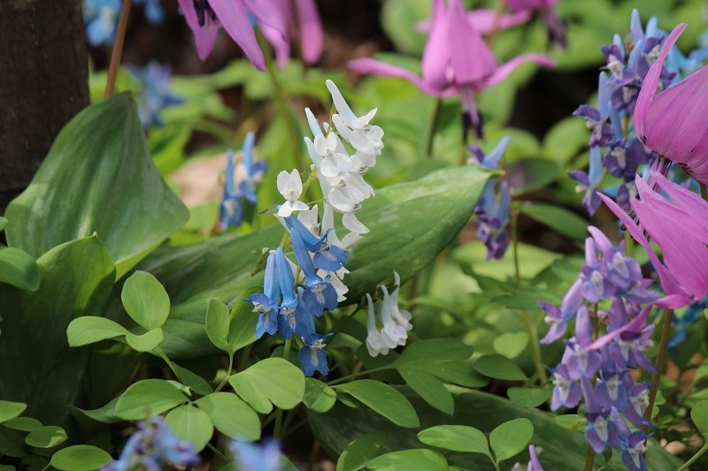 ファイル 433-3.jpg