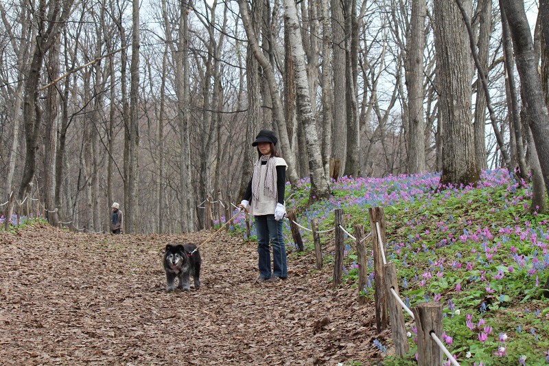 ファイル 433-4.jpg