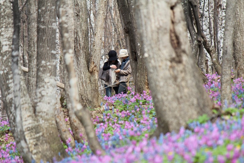 ファイル 434-5.jpg