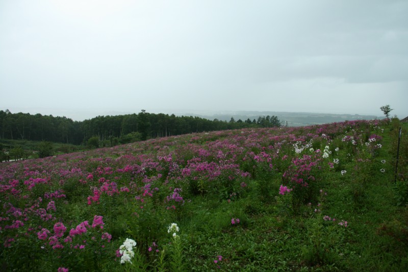 ファイル 511-2.jpg