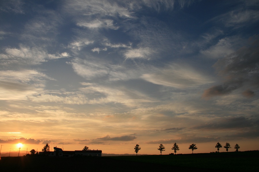 ファイル 512-4.jpg