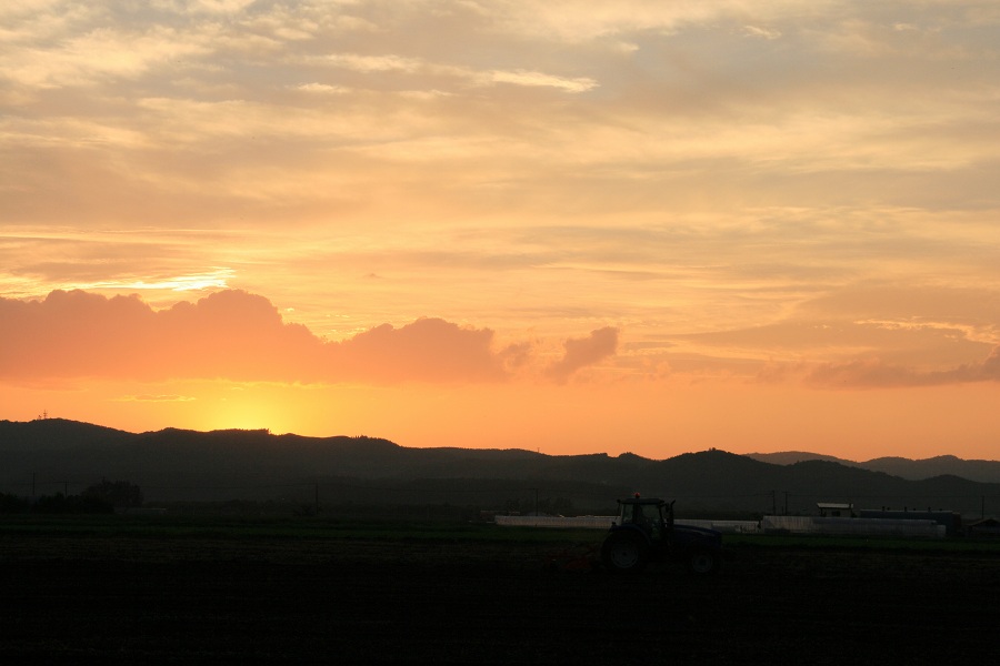 ファイル 512-5.jpg