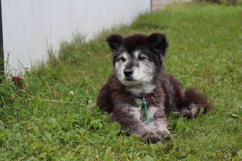 ファイル 513-1.jpg