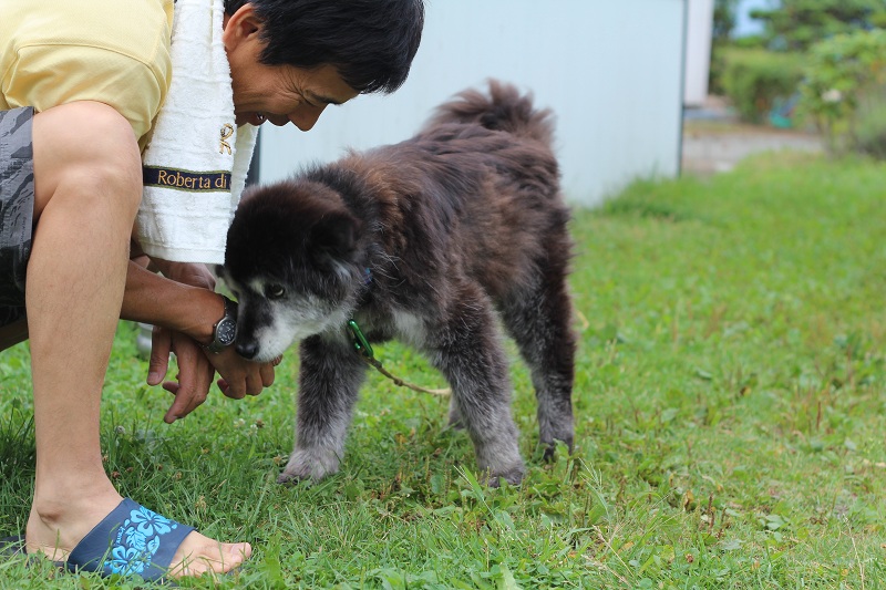 ファイル 513-2.jpg