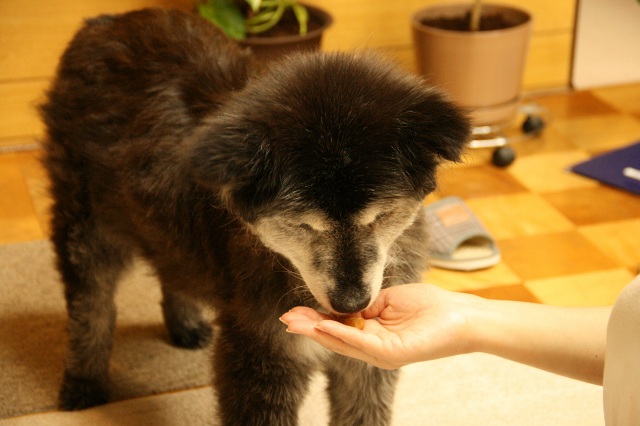 ファイル 515-3.jpg