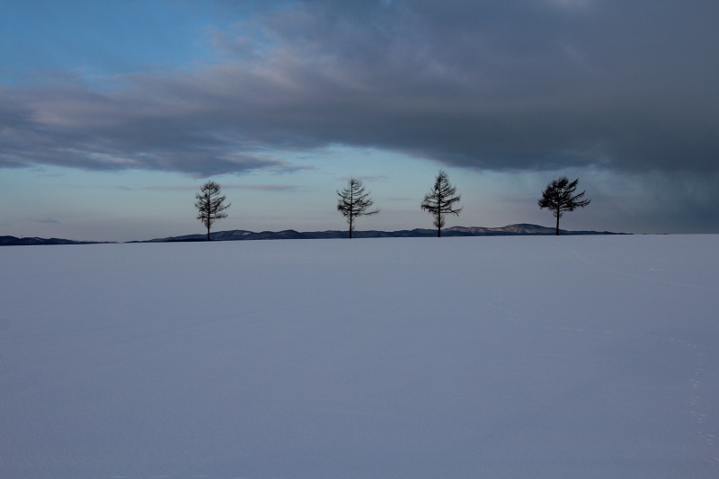 ファイル 10-1.jpg