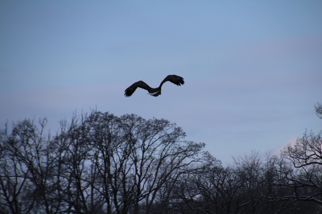 ファイル 10-2.jpg