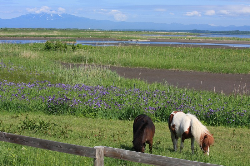 ファイル 100-1.jpg