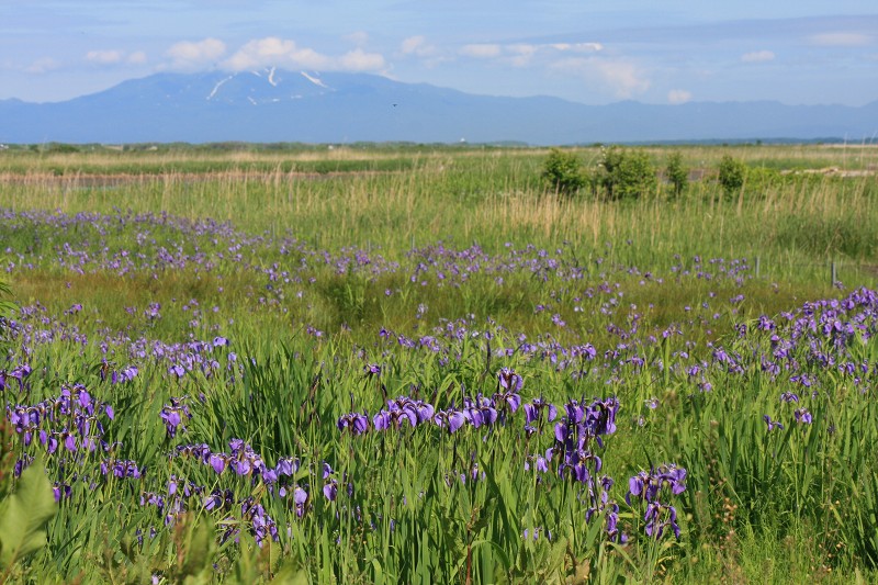 ファイル 100-3.jpg