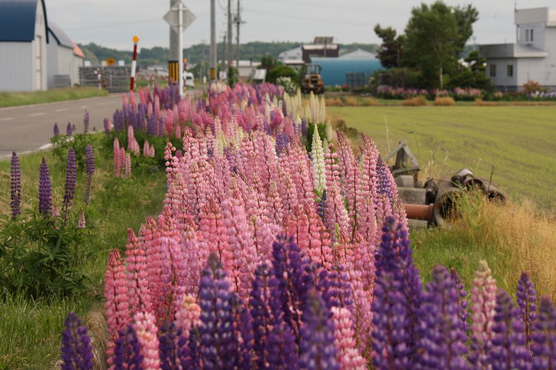 ファイル 100-5.jpg