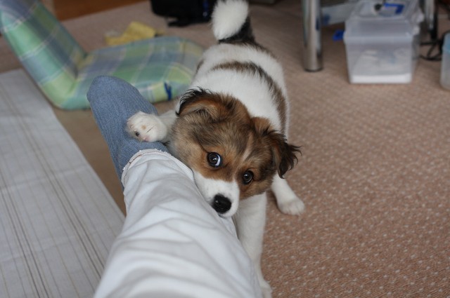 ファイル 101-3.jpg