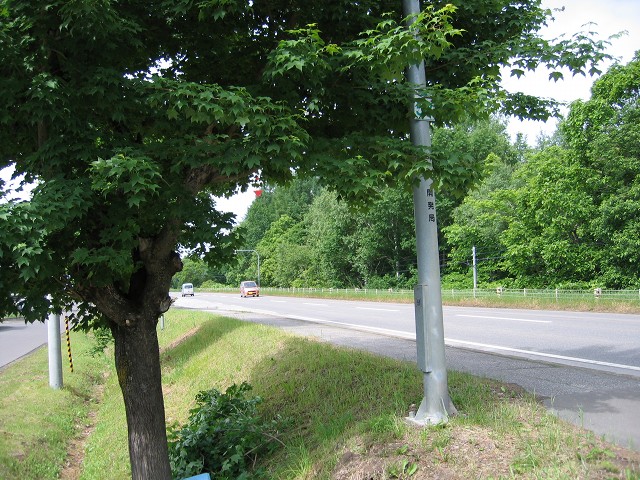 ファイル 101-5.jpg