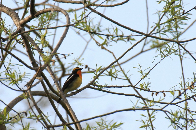 ファイル 102-2.jpg