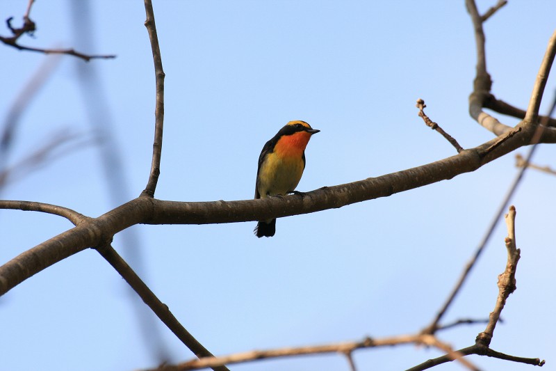 ファイル 102-5.jpg