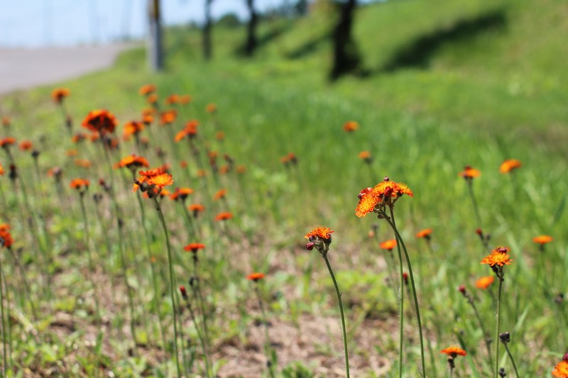 ファイル 103-3.jpg