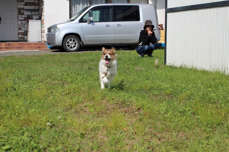 ファイル 103-5.jpg