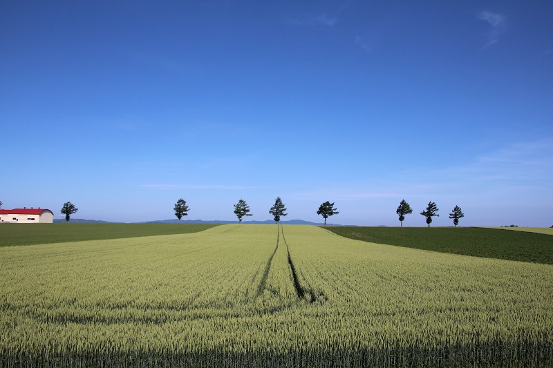 ファイル 105-1.jpg