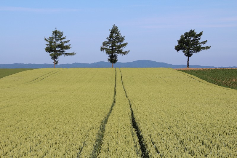 ファイル 105-2.jpg