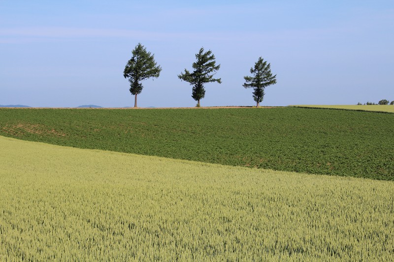 ファイル 105-3.jpg