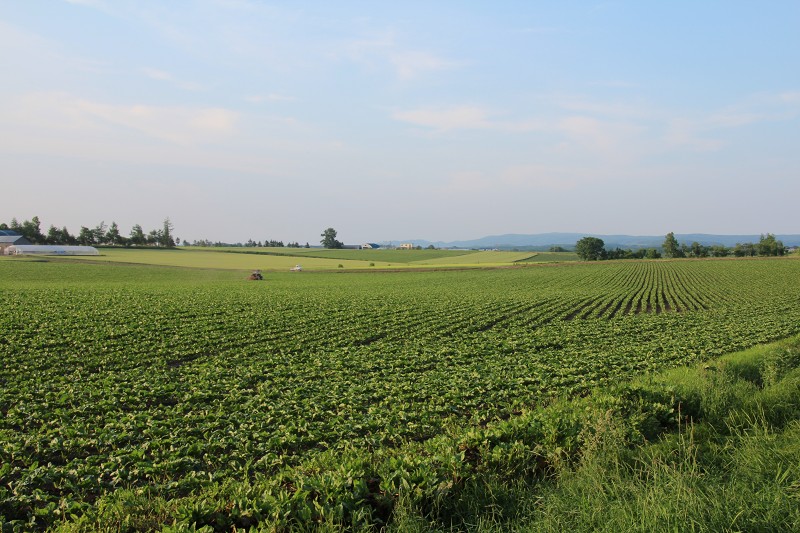 ファイル 105-4.jpg