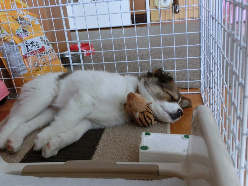 ファイル 106-1.jpg