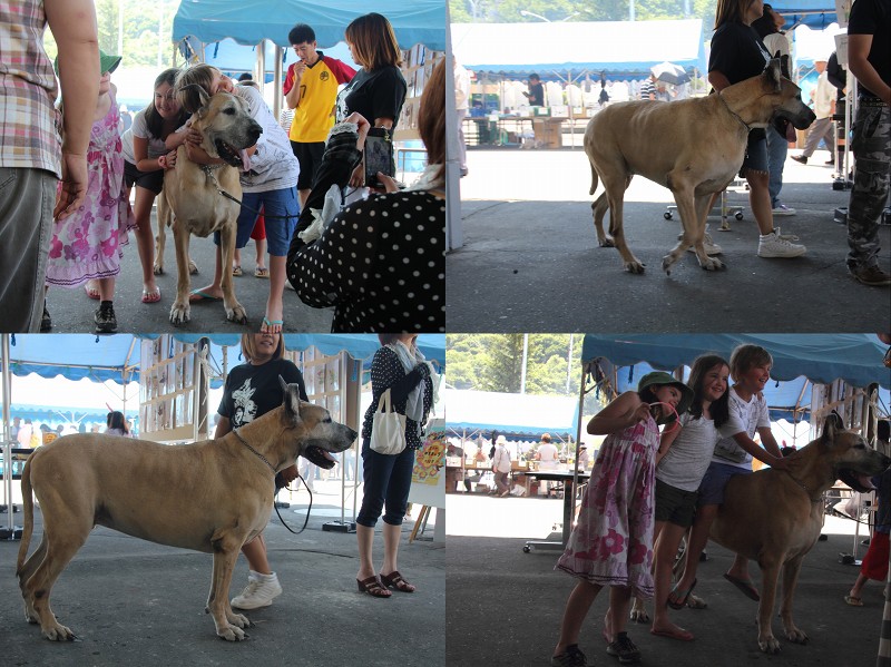 ファイル 106-4.jpg