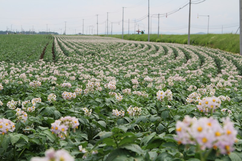 ファイル 108-2.jpg