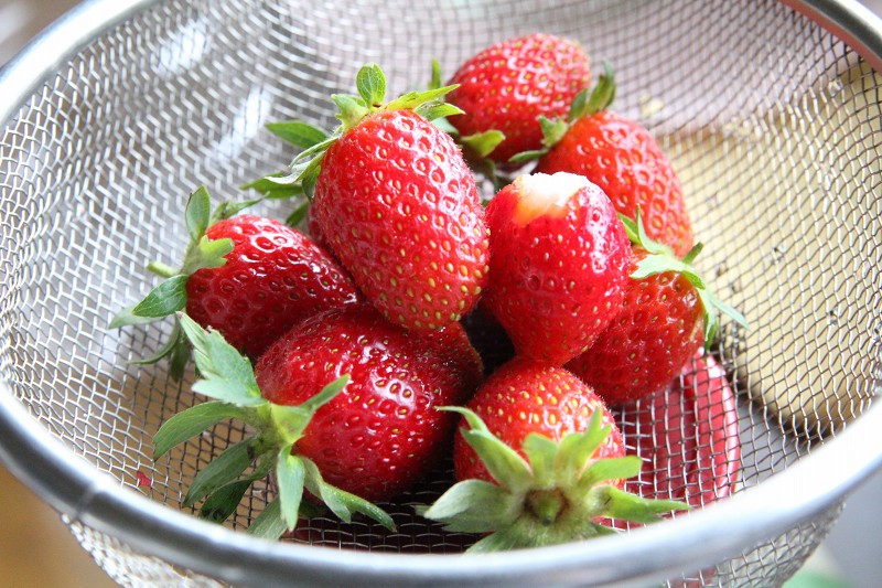 ファイル 108-3.jpg