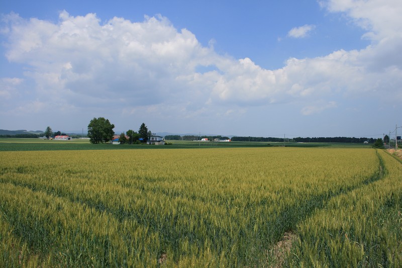 ファイル 109-5.jpg