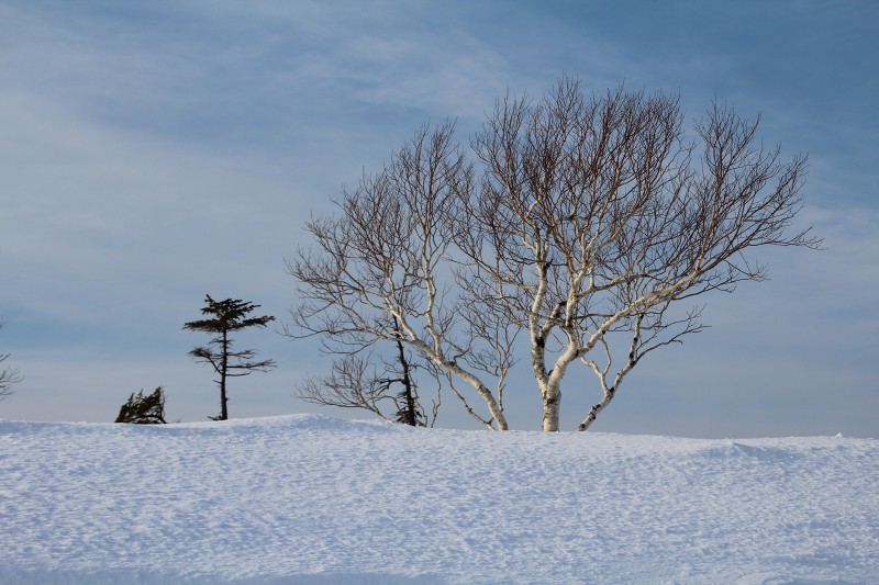 ファイル 11-1.jpg