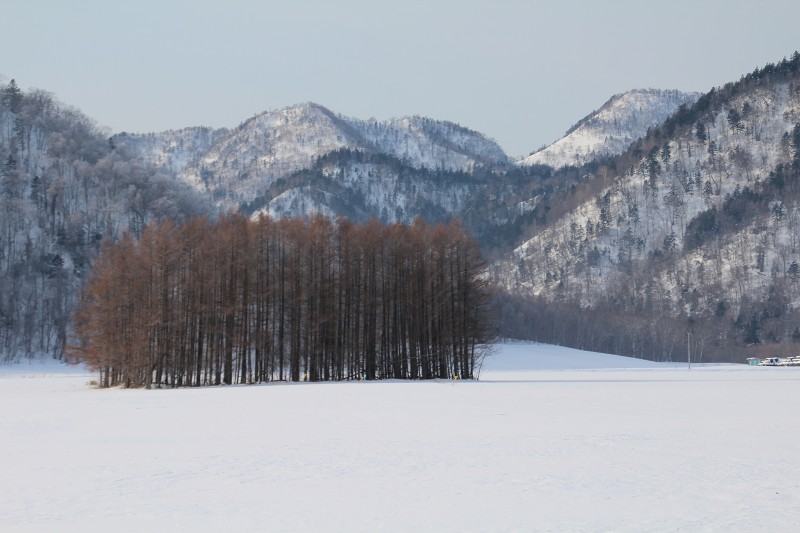 ファイル 11-5.jpg