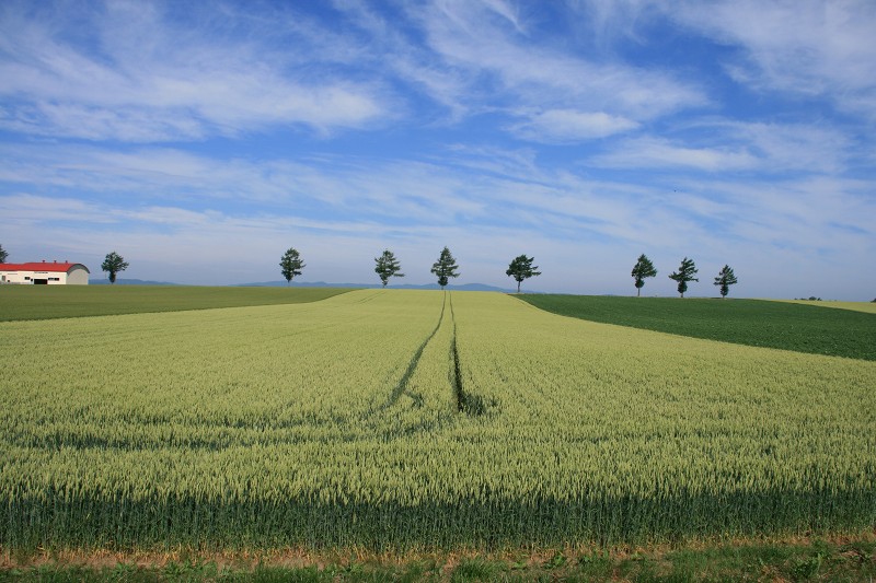 ファイル 110-2.jpg